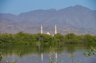 cnn عربي اخبار اليمن الان الحارس البيئي للإمارات بمكافحة المناخ اخبار اليمن الان الحدث اليوم عاجل cnn عربي