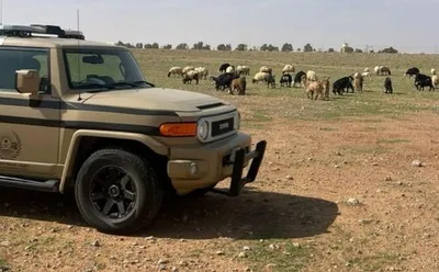 سبق اخبار اليمن الان البيئي مواطنا مخالفا عبدالله الملكية اخبار اليمن الان الحدث اليوم عاجل سبق