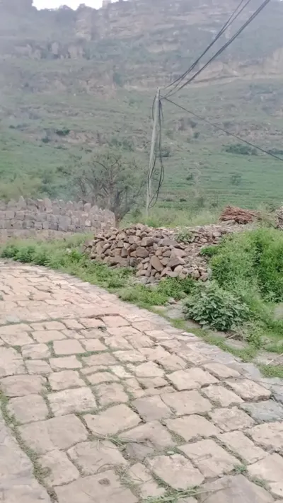اخبار اليمن الان الحدث اليوم عاجل المشهد اليمني