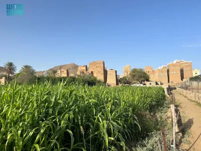 اخبار اليمن الان الحدث اليوم عاجل سبق