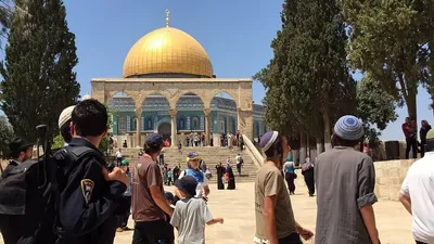 الجيل اخبار اليمن الان عشرات المستوطنين يقتحمون المسجد الأقصى اخبار اليمن الان الحدث اليوم عاجل الجيل