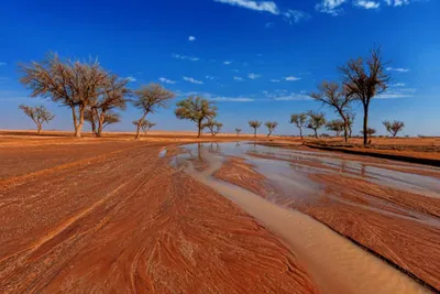 اخبار اليمن الان الحدث اليوم عاجل سبق