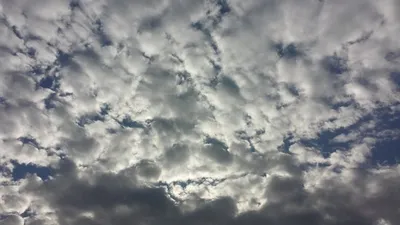 سبق اخبار اليمن الان الأرصاد بتأثيرات متفاوتة أمطارا ورياحا اخبار اليمن الان الحدث اليوم عاجل سبق