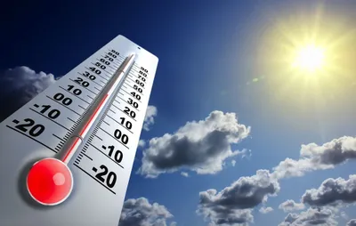 اخبار اليمن الان الحدث اليوم عاجل سبق