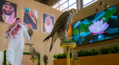 اخبار اليمن الان الحدث اليوم عاجل الجيل