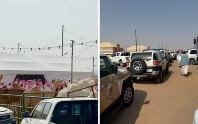 اخبار اليمن الان الحدث اليوم عاجل سبق