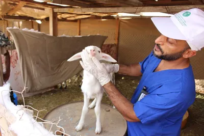 اخبار اليمن الان الحدث اليوم عاجل سبق
