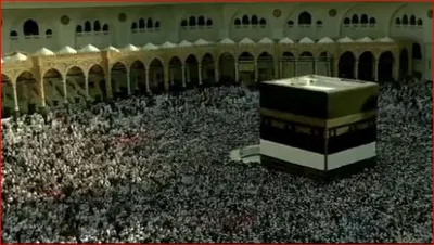 الجيل اخبار اليمن الان الشركات والنقل والتأمين لإصدار تأشيرة اخبار اليمن الان الحدث اليوم عاجل الجيل