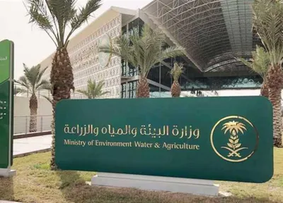 الجيل اخبار اليمن الان المنشآت الواقعة والفواكه واللحوم والأسماك اخبار اليمن الان الحدث اليوم عاجل الجيل