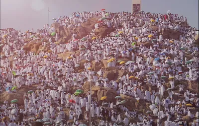 الجيل اخبار اليمن الان ارتفاع درجات حرارة المشاعر المقدسة اخبار اليمن الان الحدث اليوم عاجل الجيل