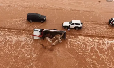 سبق اخبار اليمن الان انقلاب بالإبل الطوقي السيول الجارفة اخبار اليمن الان الحدث اليوم عاجل سبق