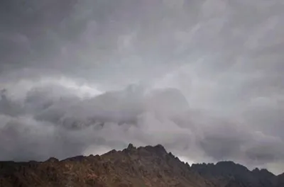 المواطن اخبار اليمن الان الحلويات منتهية الصلاحية بالعاصمة المقدسة اخبار اليمن الان الحدث اليوم عاجل المواطن
