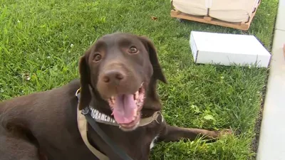 اخبار اليمن الان الحدث اليوم عاجل cnn عربي