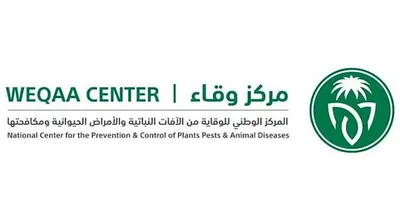 الجيل اخبار اليمن الان المملكة تواجه تهديد الجراد الصحراوي اخبار اليمن الان الحدث اليوم عاجل الجيل