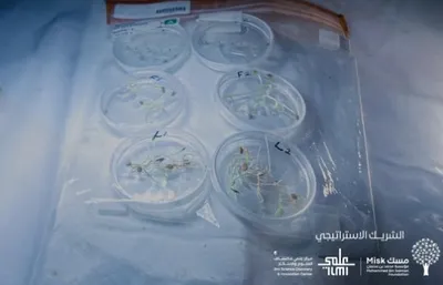 الجيل اخبار اليمن الان الفضاء السعودية طلابية سعودية الدولية اخبار اليمن الان الحدث اليوم عاجل الجيل