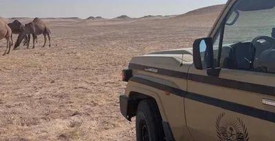 اخبار اليمن الان الحدث اليوم عاجل سبق