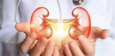 سبق اخبار اليمن الان كليتيك الأوان التخصصي الوقاية الذهبية اخبار اليمن الان الحدث اليوم عاجل سبق