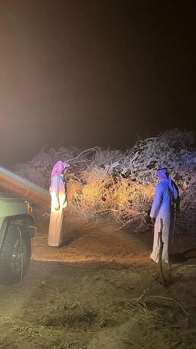 سبق اخبار اليمن الان بالصور تباشر بلاغا تصاريح نظامية اخبار اليمن الان الحدث اليوم عاجل سبق