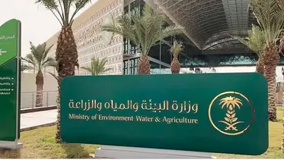 الجيل اخبار اليمن الان الحواجز وخلجان تجميع الأمطار والسيول اخبار اليمن الان الحدث اليوم عاجل الجيل