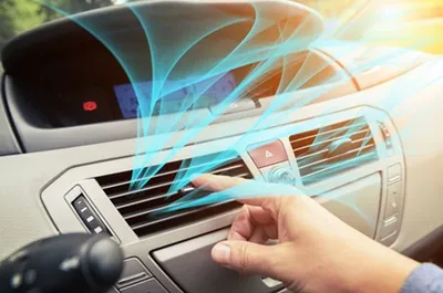 سبق اخبار اليمن الان رائحة الأرواح النمر الكربون المركبات اخبار اليمن الان الحدث اليوم عاجل سبق