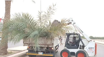 اخبار اليمن الان الحدث اليوم عاجل سبق