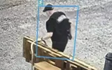 timesofindia اخبار اليمن الان prison escape uniform inside hardin اخبار اليمن الان الحدث اليوم عاجل timesofindia