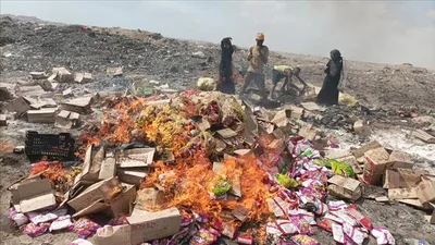 شمسان بوست اخبار اليمن الان المنصورة لمواد غذائية متنوعة للاستهلاك اخبار اليمن الان الحدث اليوم عاجل شمسان بوست