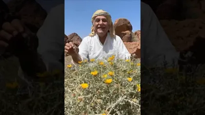 cnn عربي اخبار اليمن الان يعبر الكيلومترات نباتات نادرة سعودي اخبار اليمن الان الحدث اليوم عاجل cnn عربي