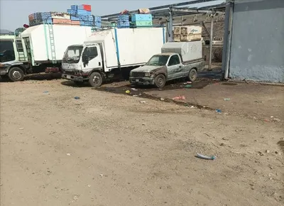 شمسان بوست اخبار اليمن الان احتجاجات الأسماك موقع معزول خدمات اخبار اليمن الان الحدث اليوم عاجل شمسان بوست