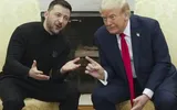 timesofindia اخبار اليمن الان ukrainian journalist reveals zelenskyy outfit اخبار اليمن الان الحدث اليوم عاجل timesofindia